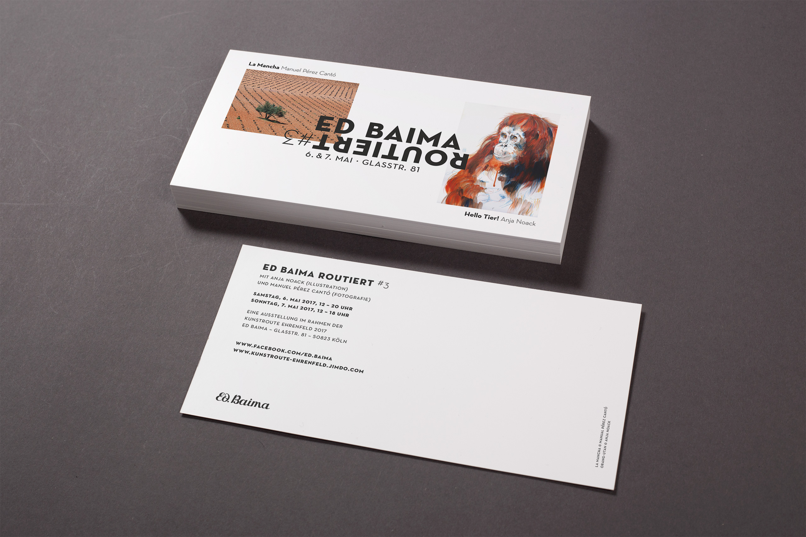 Ed Baima 2